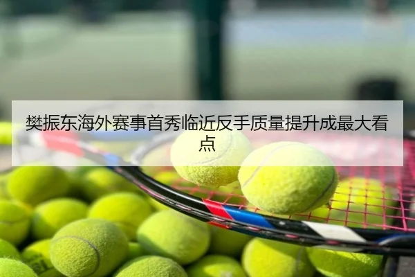 樊振东海外赛事首秀临近反手质量提升成最大看点