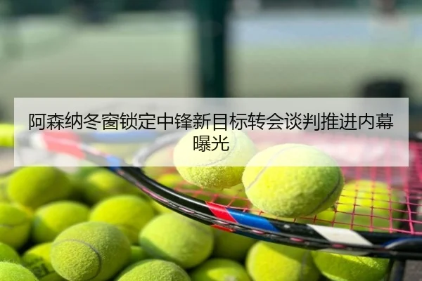 阿森纳冬窗锁定中锋新目标转会谈判推进内幕曝光